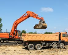 A Tree Removal Company In Placerville CA Can Safely Remove A Troubled Tree