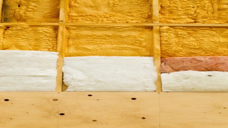 Expert Tips for Effective Bat Removal From Attic in Jackson Township NJ Residences