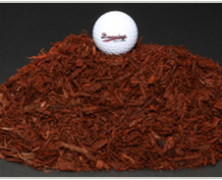 Mulch Suppliers in Hartford CT and The Fantastic Benefits of Mulching