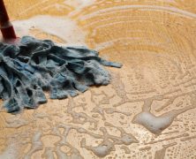 What are the Best Carpet Cleaners?
