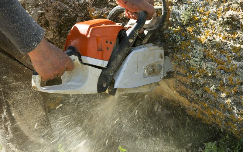 Finding Reliable Tree Cutting Services in South Bend, IN