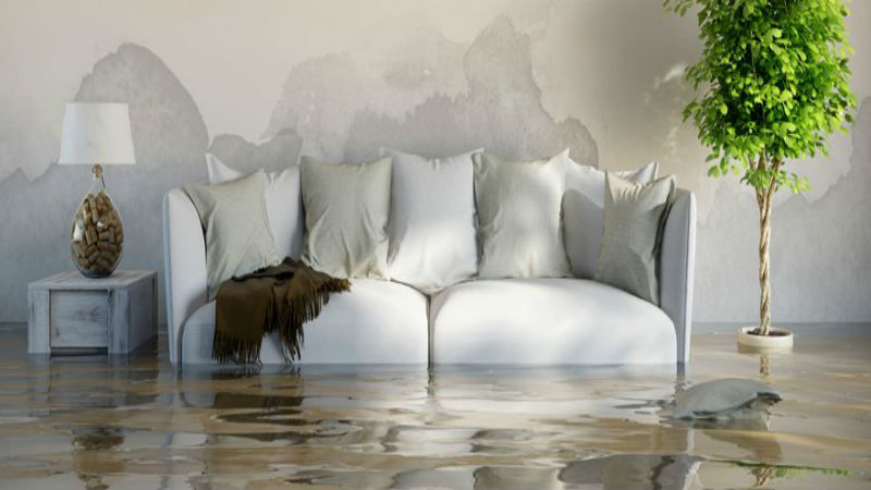 Rapid Response from an Emergency Water Damage Restoration Service in Springfield, MO, Explained