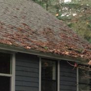 Should You Invest in a Professional Roof Cleaning Services in Lancaster County, PA?
