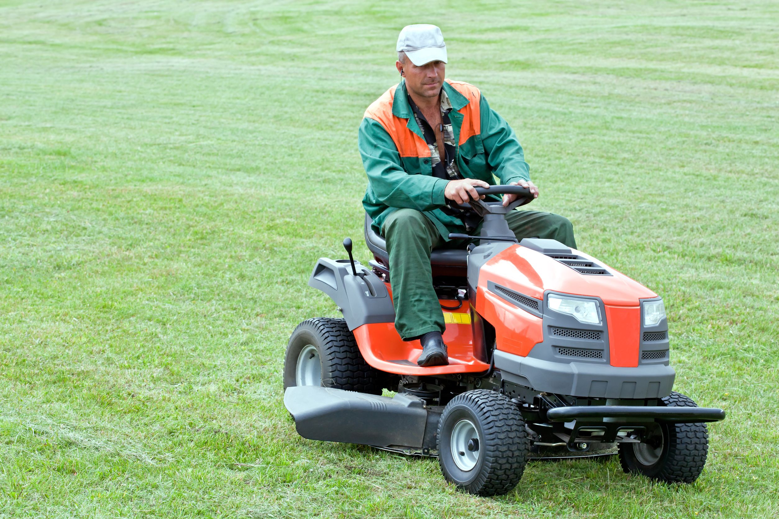 How You Can Benefit from Professional Tree Removal Services in Aurora, CO