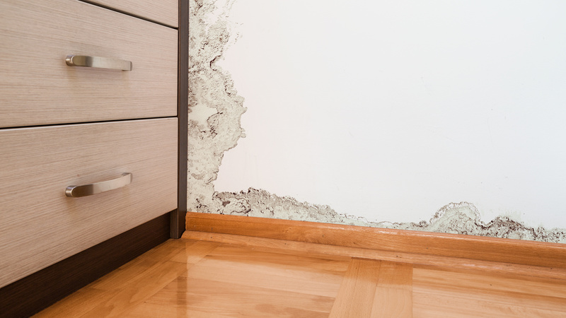 Prioritizing Health: The Necessity of Mold Testing in Reinholds, PA