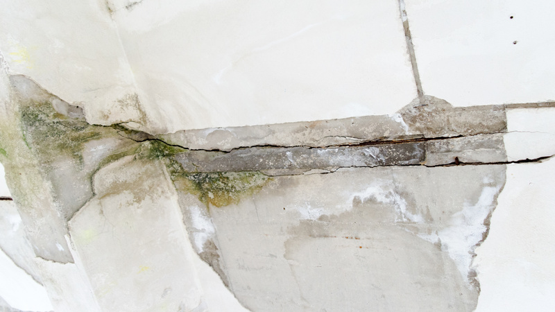 Efficient Solutions for Water Damage Restoration Service in St. Pete Beach, FL