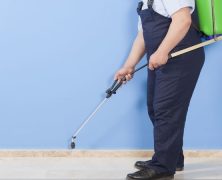 The Benefits You Can Reap from Hiring Exterminators in Pasadena
