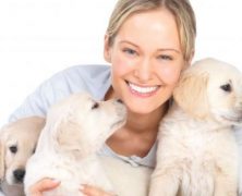 Make Sure Your Pet is in Good Hands in Alexandria, VA, While You’re Away
