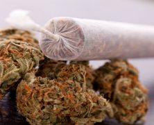 3 Things To Look For In A Portable Joint Roller