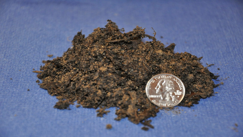 3 Smart Reasons to Place Bark Dust in Your Steilacoom, WA