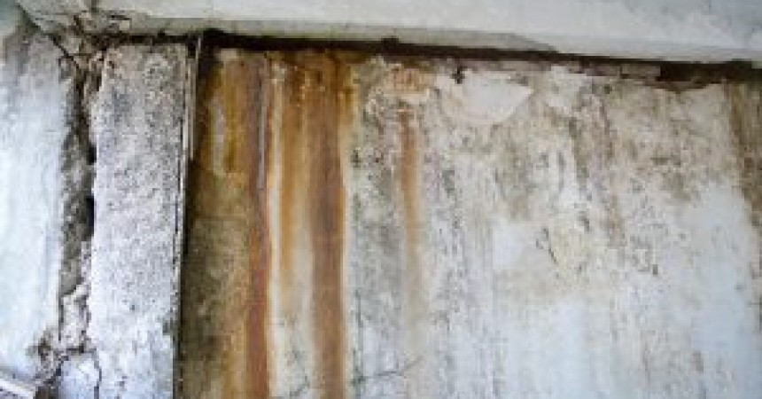 Reasons to Avoid Doing Your Own Water Damage Restoration