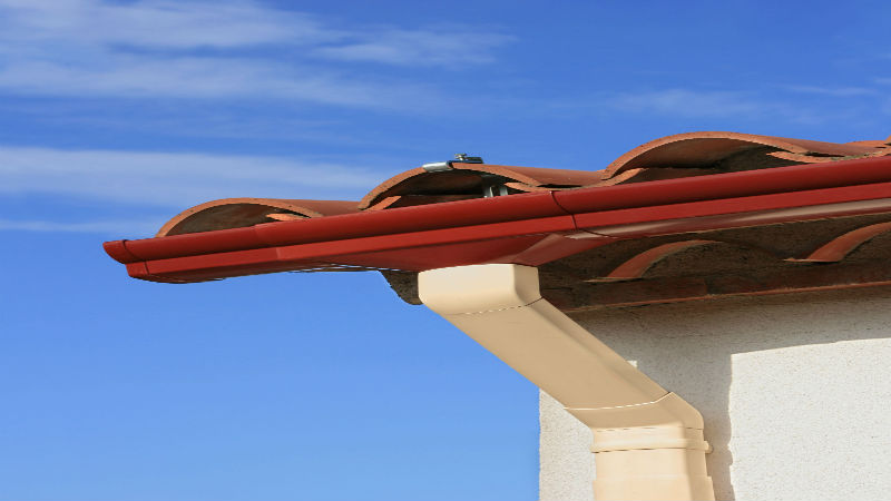 Protect Your Springfield Home with Routine Roof Cleaning Services