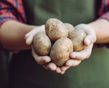 Best Practices for Successfully Marketing Your Farm & Its Products