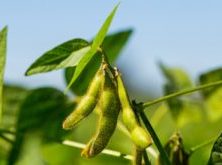 3 Time-Saving Tips For Marketing Your Farm More Successfully