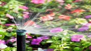 Professional Outdoor Patio Designs in Frisco