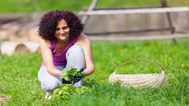 3 Benefits of Subscribing to Year Round Pest Control Services in Covington