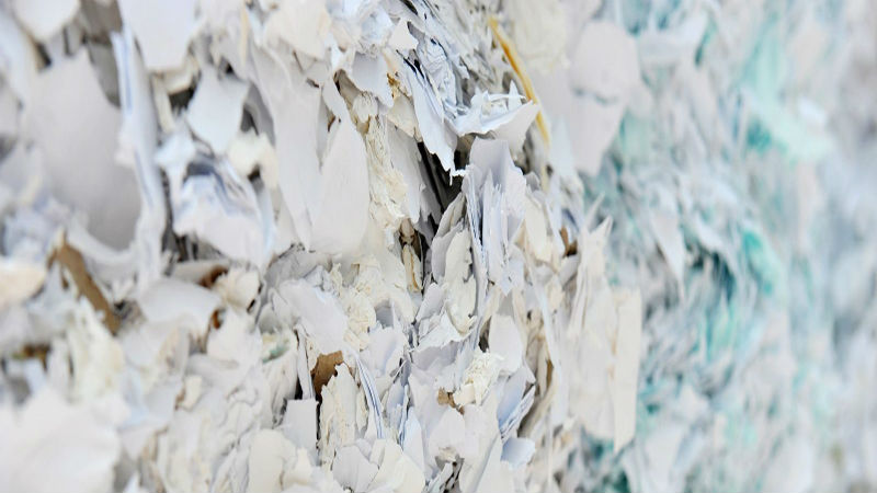 Document Shredding Service in Denver and Not Telling Your Competition What You Are Working On