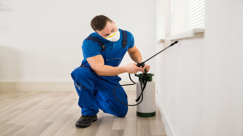 How Residential Pest Control Service Richmond VA Keeps Homes Safe and Healthy