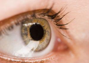 What to Expect With Working With a Lasik Doctor in Jacksonville