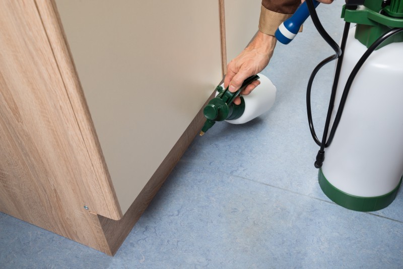 Pest Exterminator Visit Prep: How to Get Your Home Ready near Melbourne