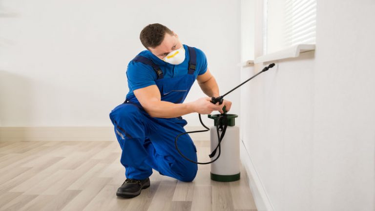 How Disinfection Services Can Make Your Home Safer in Dubbo