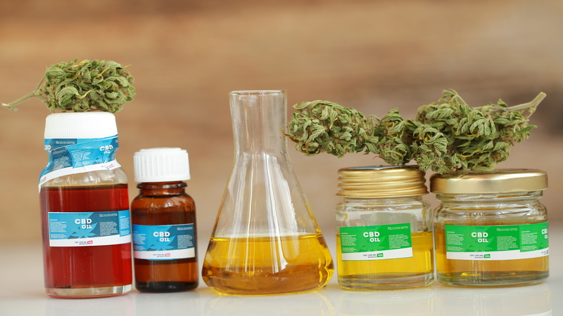 Where to Buy CBD Oil for Dogs Online?
