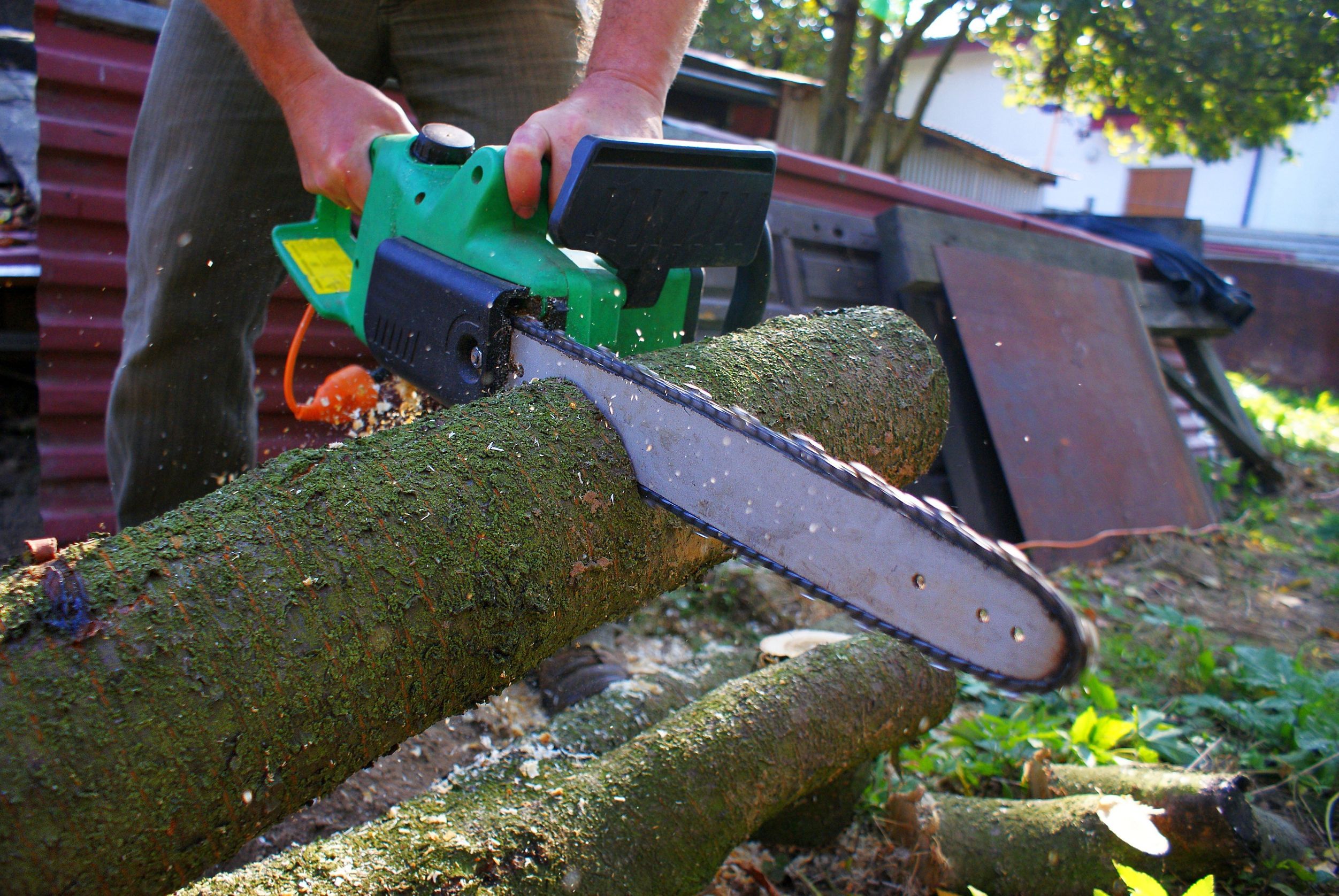 Choosing a Professional Tree Removal Service in Carson City, NV, is Better Than Doing the Job Yourself