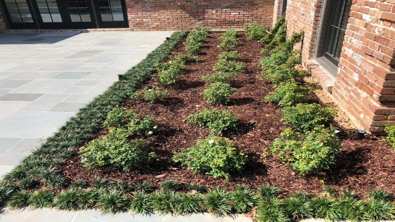 Advantages of Implementing Carbon Removal Techniques in Your Agricultural Lands