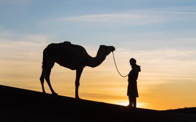 Experience Morocco With a Marrakech Tour Company