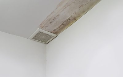 Asbestos Testing in Boulder, CO: Preventing Long-Term Health Issues