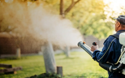 Effective Treatment For Fleas And Ticks In Lawn, Charlestown, IN Homeowners Need
