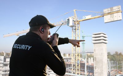 What Are the Main Threats Addressed by Private Security Teams?
