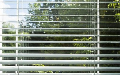 Find Custom Window Solutions at a Blinds Shop Apex NC Residents Trust for Style