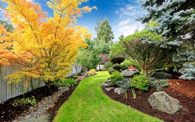 Gardening Success Starts With Organic Top Soil North Haven CT for Lush Yards