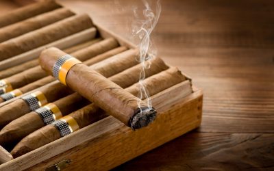 Unique Flavours and Experiences with Siberia Chewing Tobacco in the UK Market