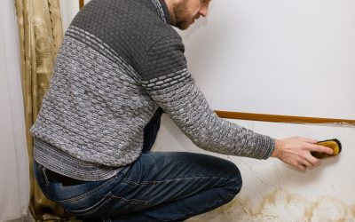 How Tupelo, MS Flood Water Damage Restoration Services Save Homes and Prevent Mold