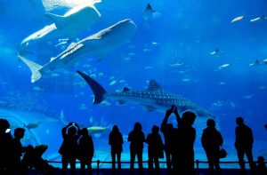 Reasons Professionals Choose a Meeting Venue in Miami for Productive Gatherings