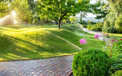 How to Keep Your Lawn Green With Professional Residential Irrigation Repair Riverview, FL