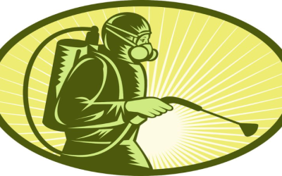 Protect Your Home from Common Invaders with Pest Control Services in Plymouth County MA