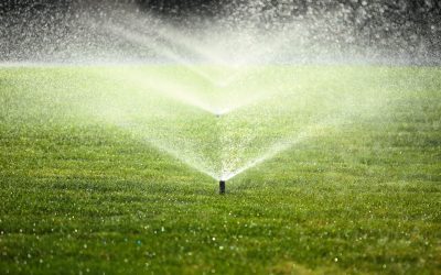Achieve a Healthier Yard With Professional Lawn Care And Maintenance Near Fort Lupton, CO