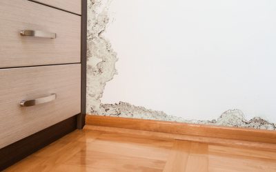Protect Your Property Fast With Restoration Companies In Carmel IN After Water Damage Strikes