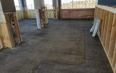 What Homeowners Should Know About Water Damage Companies Maple Grove for Fast Recovery