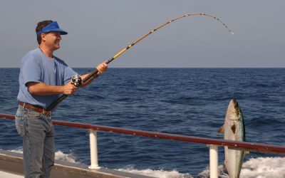 Unforgettable Stories from Real Beach Shark Fishing Pensacola, FL Anglers