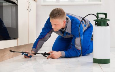 Reliable pest solutions with an exterminator Cedar Grove NJ trusts for safer homes