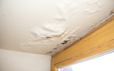 Effective solutions for Water Damage Cleanup in Joliet, IL to protect your home investment
