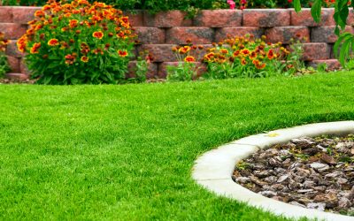Transform Small Spaces Using Backyard Design in Menifee, CA for Urban Homes
