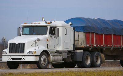 Find Reliable Delivery Solutions with a Local Trucking Company Charleston, SC Businesses Trust