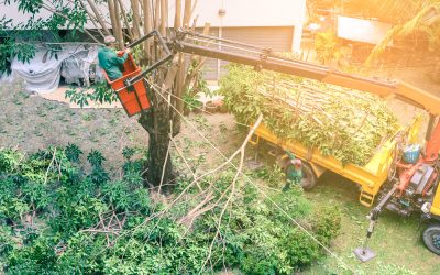 Safe Project Success with Crane Rental Services Naperville IL for Construction Needs